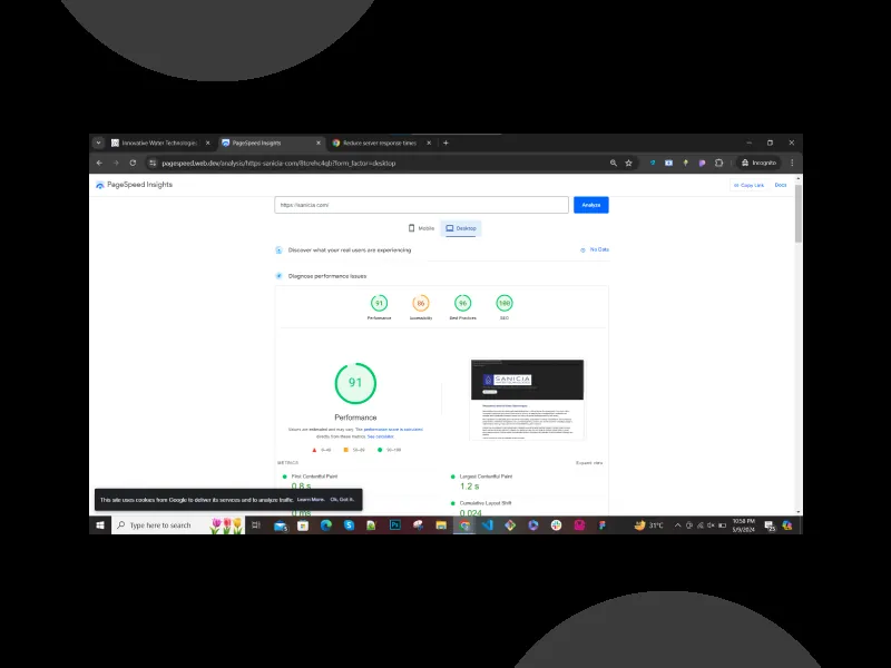 sanicia.com performance optimization